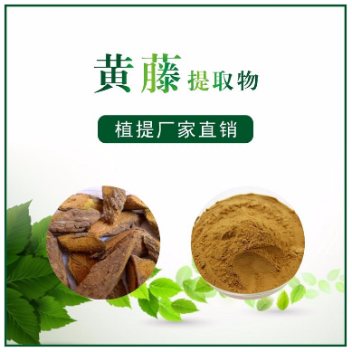 黄藤提取物