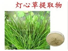 灯心草提取物