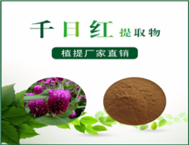 千日红提取物