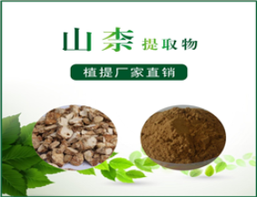 山柰提取物