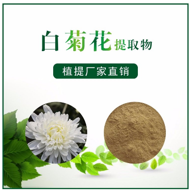 白菊花提取物