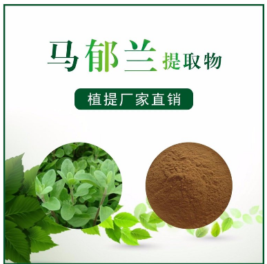 马郁兰提取物