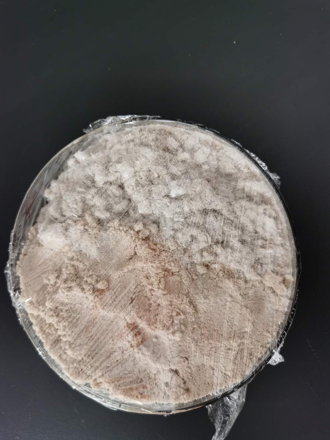  苯并呋喃-2-硼酸  98437-24-2