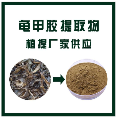 龟甲胶提取物