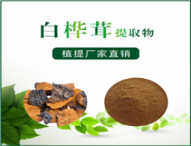 白桦茸提取物