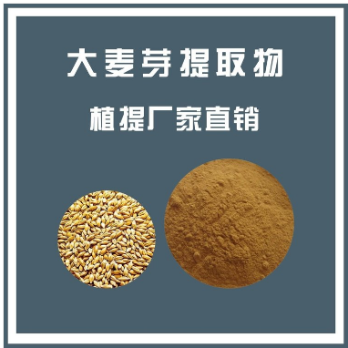 大麦芽提取物