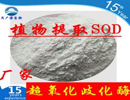超氧化物歧化酶