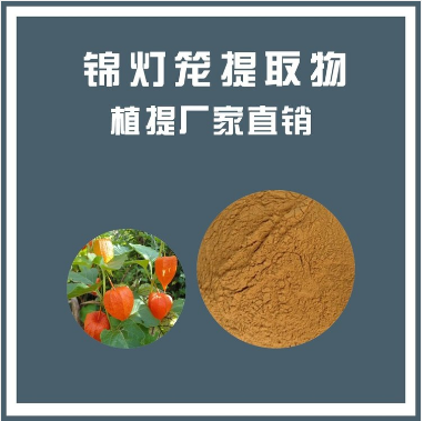 锦灯笼提取物