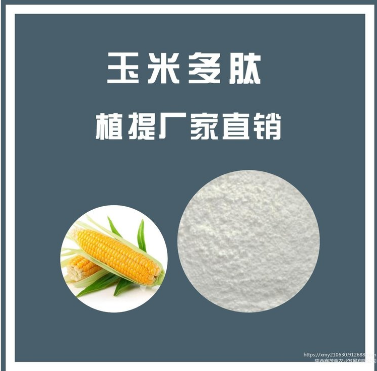 玉米多肽