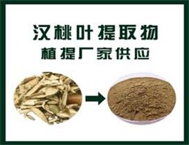 汉桃叶提取物
