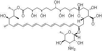 CAS 登录号:1397-89-3, 两性霉素 B