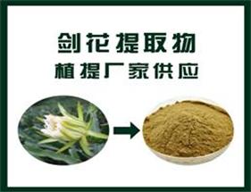 剑花提取物