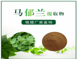 马郁兰提取物