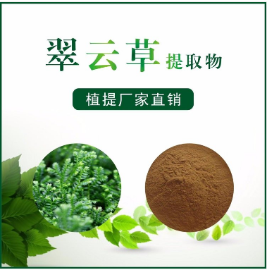 翠云草提取物