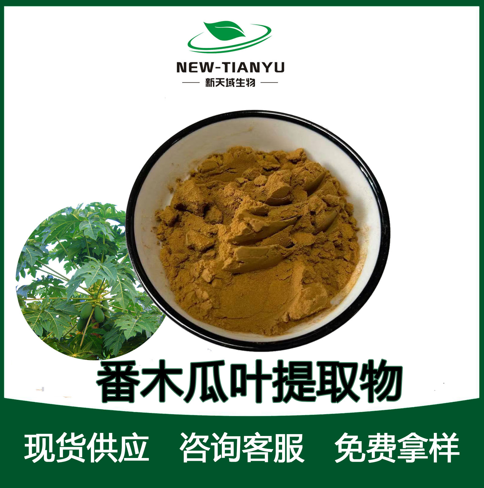 番木瓜叶提取物