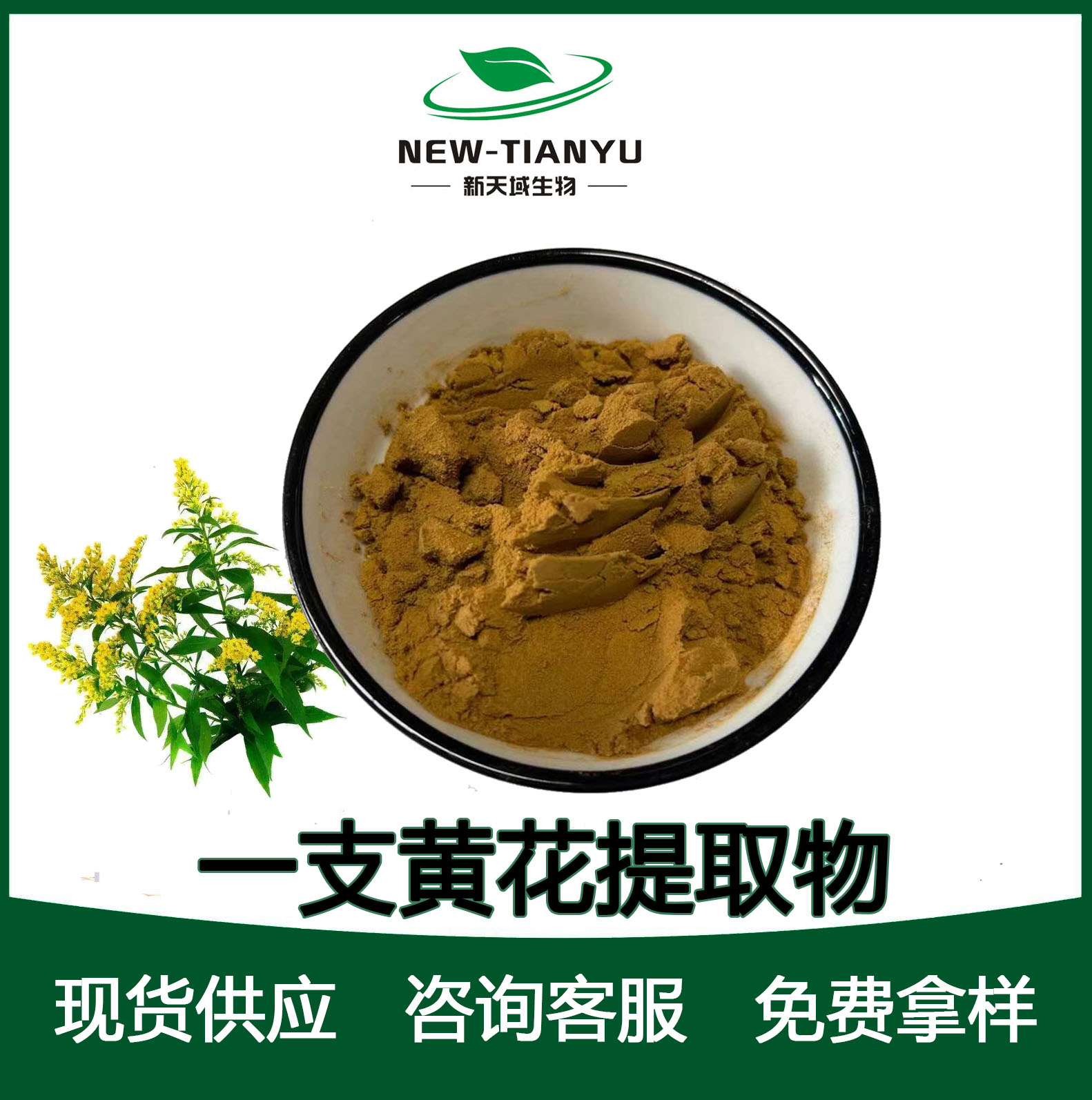 一枝黄花提取物
