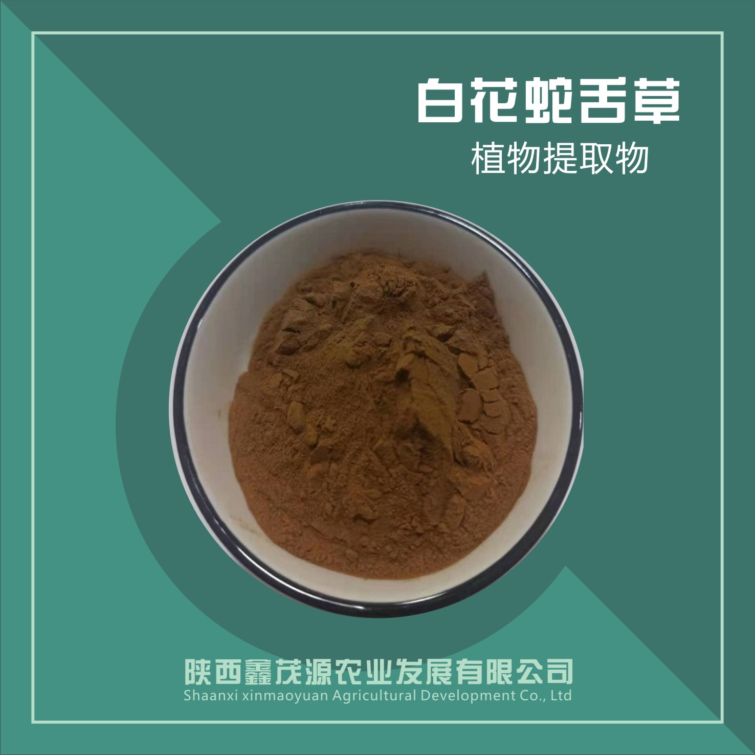 白花蛇舌草提取物