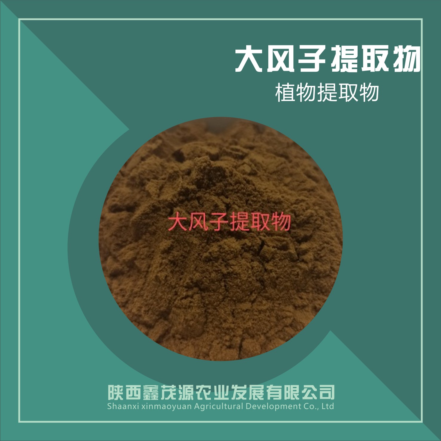 大风子提取物