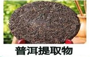 普洱茶提取物
