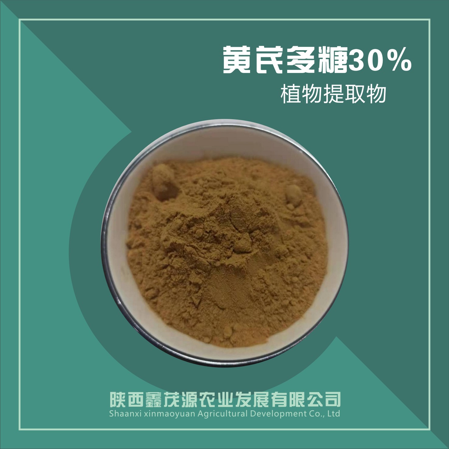 黄芪多糖30%
