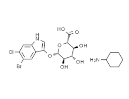 5-溴-4-氯-3-吲哚基-β-D-葡萄糖苷酸环己铵盐