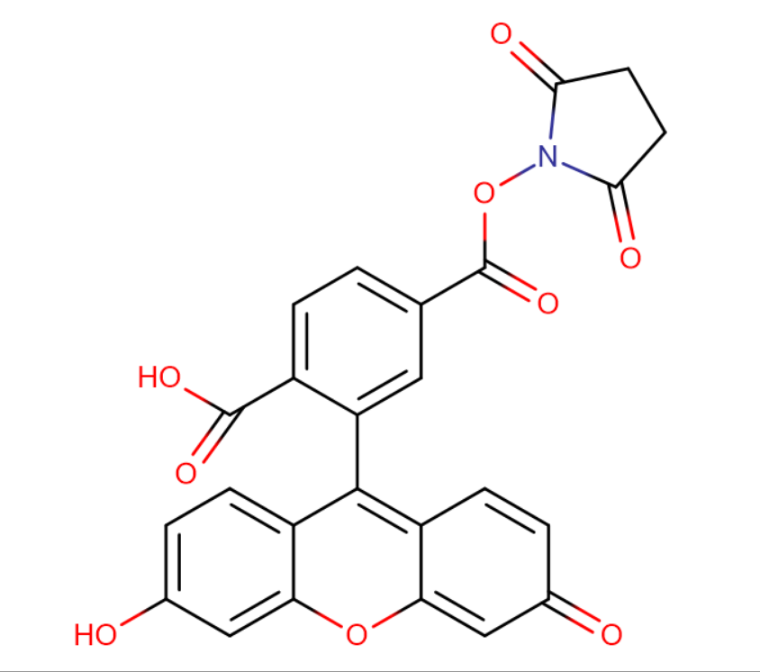 6-羧基荧光素琥珀酰亚胺醚