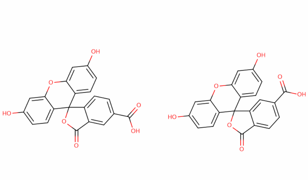 5(6)-羧基荧光素