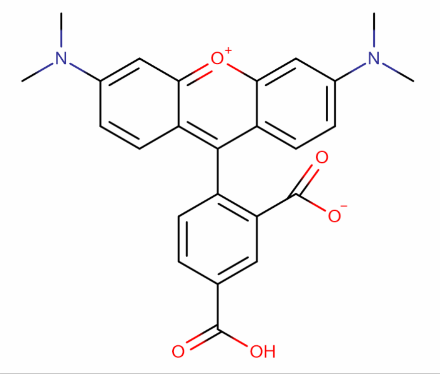5-羧基四甲基罗丹明
