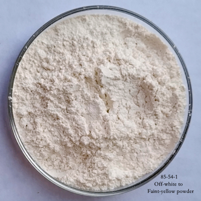 2-（4-氯-3-硝基苯甲酰）苯甲酸