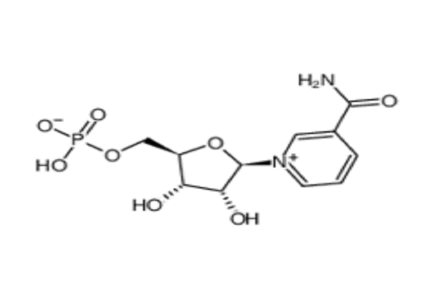 β-烟酰胺单核苷酸（NMN）