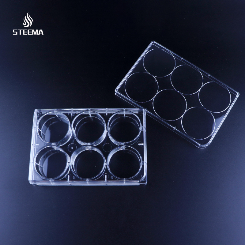 细胞培养板6孔PS(聚苯乙烯)TC处理已灭菌