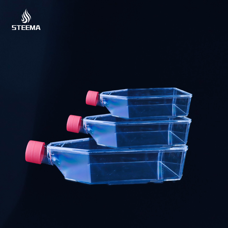 细胞培养瓶25cm2PS透气盖0.22疏水膜等离子处理 无菌