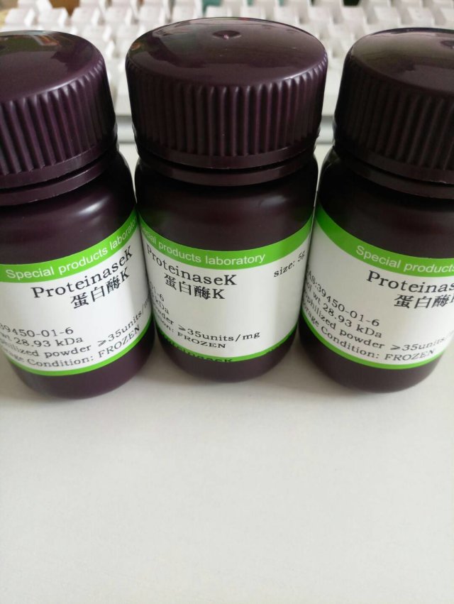 蛋白酶K