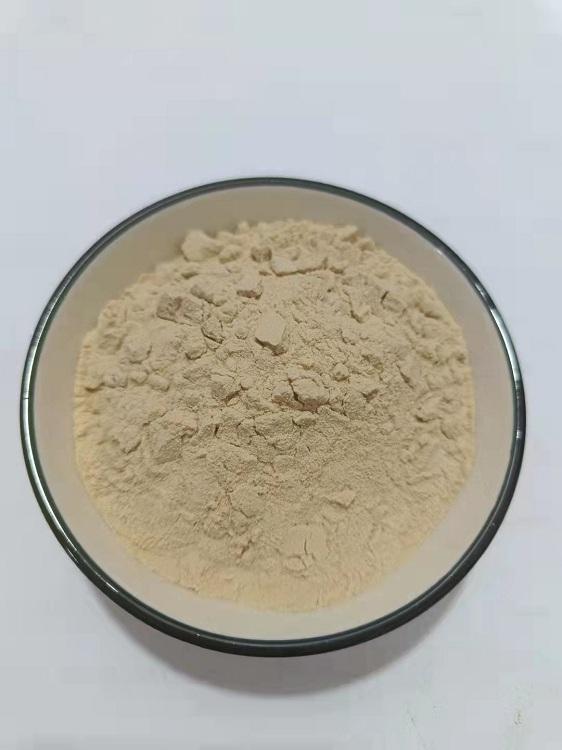 刺果番荔枝.jpg 刺果番荔枝.jpg