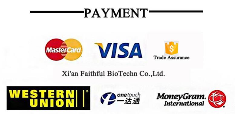 支付方式_.jpg 支付方式_.jpg