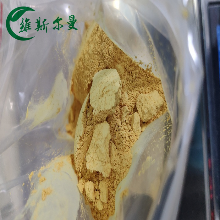 两性霉素B CAS1397-89-3