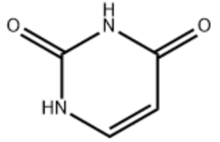 尿嘧啶