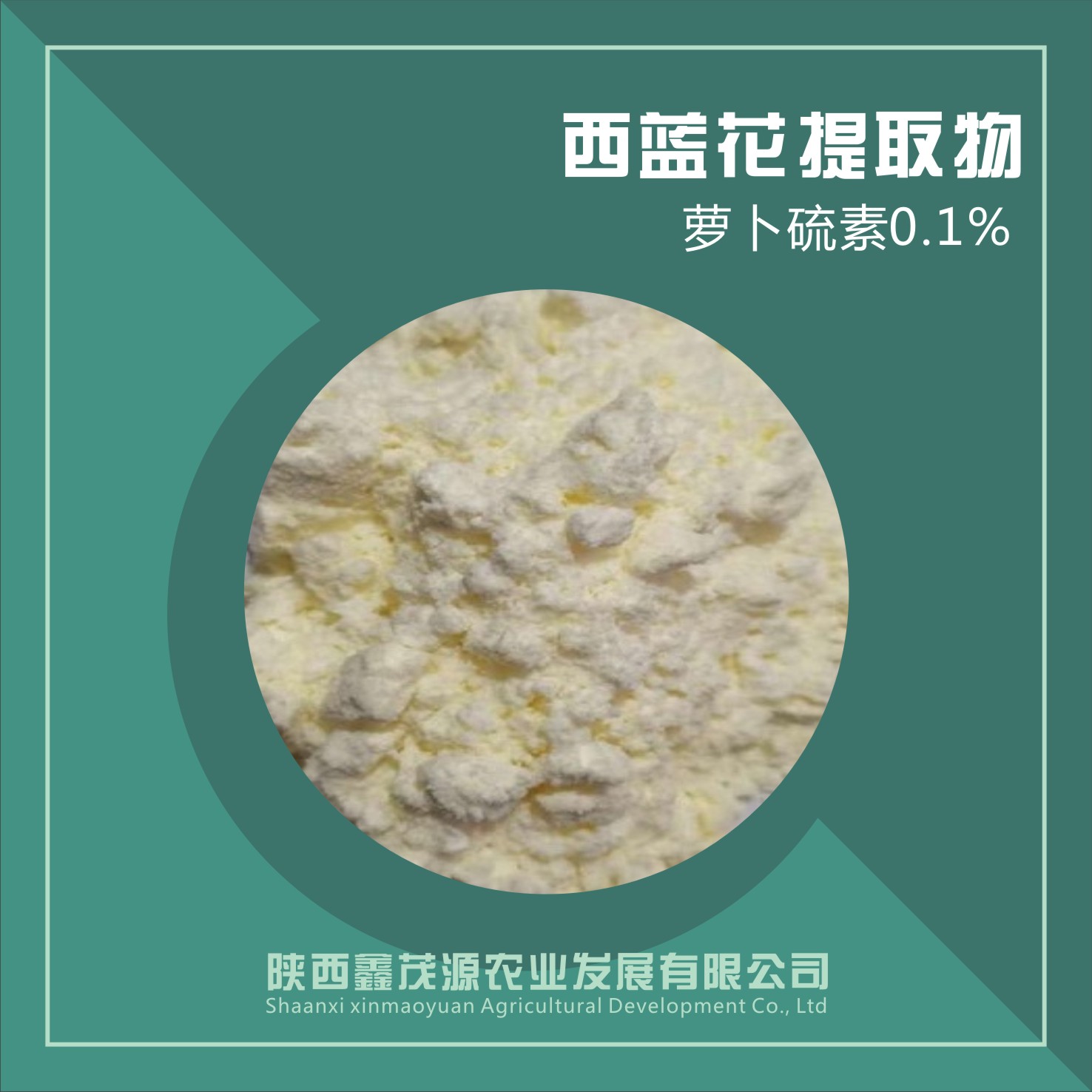 西蓝花种子提取物