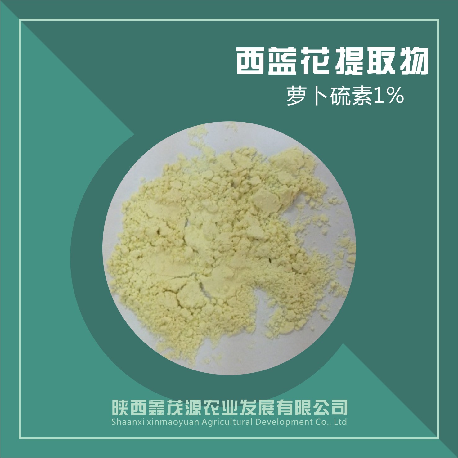 西蓝花种子提取物