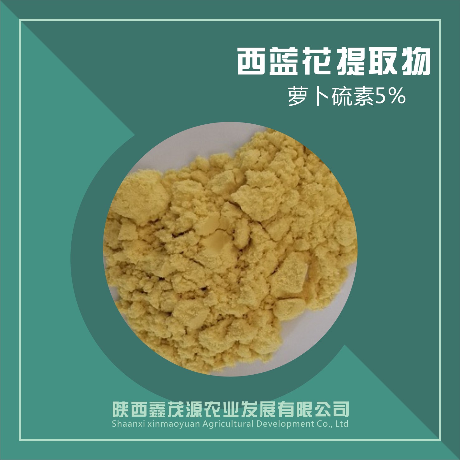 西蓝花种子提取物