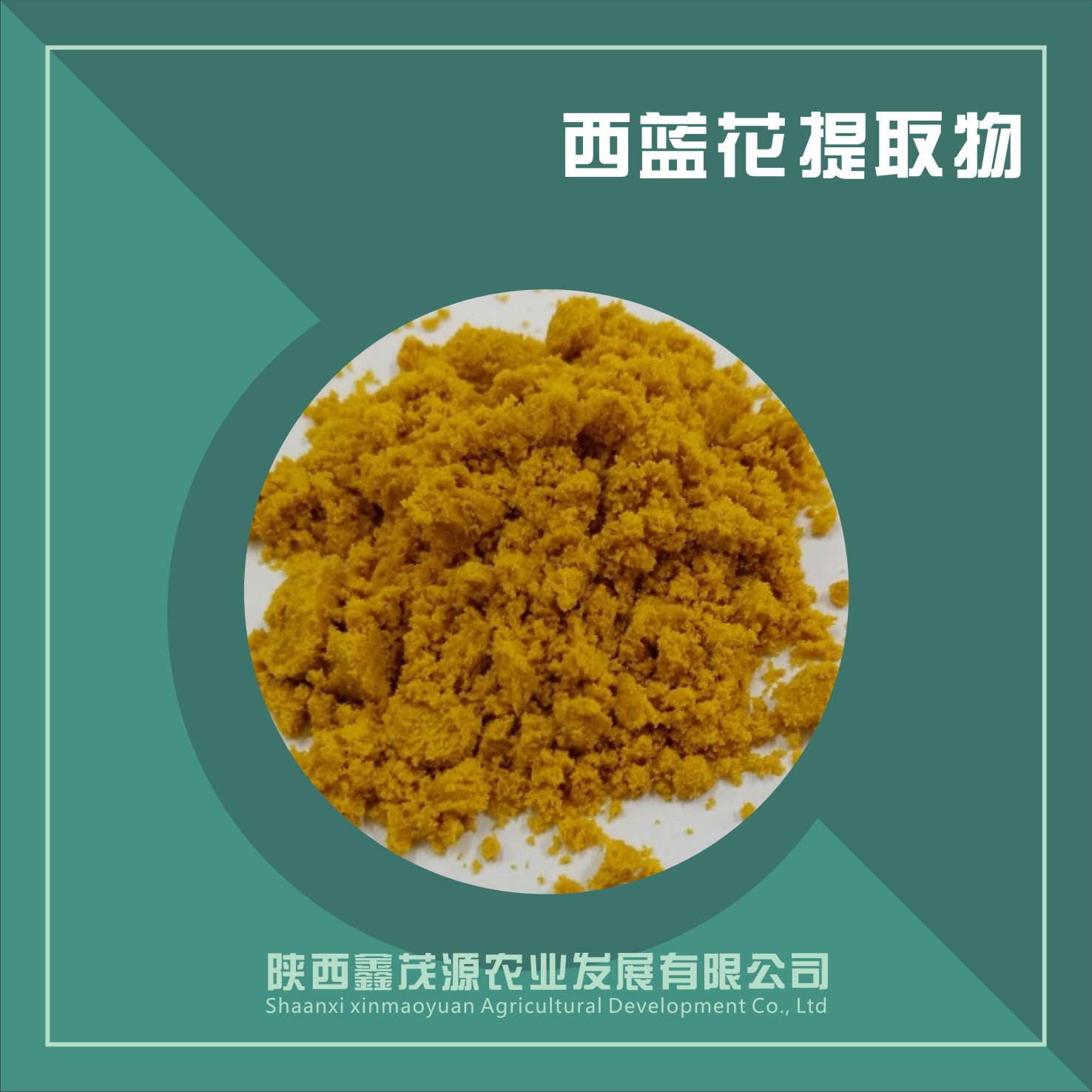 西蓝花种子提取物