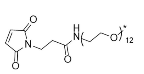 甲基-PEG12-琥珀酰亚胺