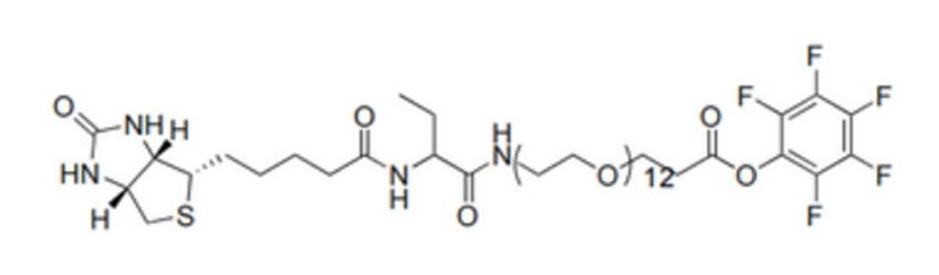 TFP-dPEG12-biotinidase resistant biotin