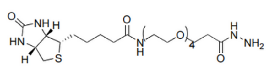 Biotin-PEG4-Hydrazide