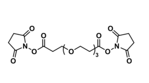 Bis-dPEG3-NHS ester
