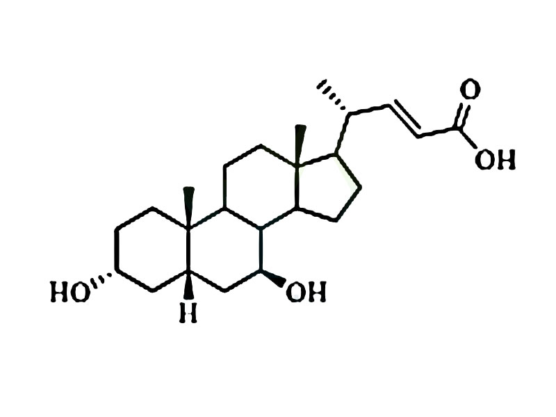 22-烯-熊去氧胆酸