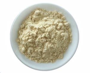 2-氧代-2,3-二氢苯并[d]噁唑-6-硼酸