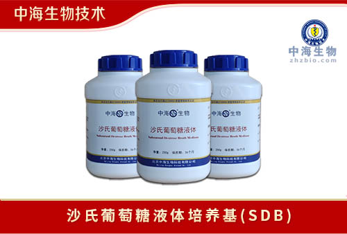 沙氏葡萄糖液体培养基(SDB)