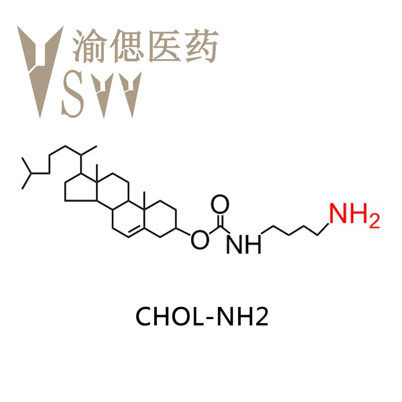 胆固醇-氨基