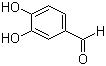 CAS 登录号:139-85-5, 3,4-二羟基苯甲醛